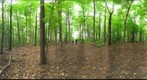 Dairy Bush GigaPan - 108 - September 21 2011