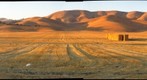 North Livermore Hay