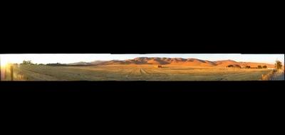 8817-400x189