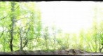 Fort des Anglais360