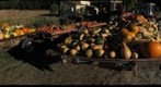 Fruits of La Bégude-Blanche