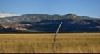 Cedar Mountain