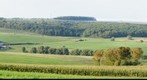 Europe, Luxemburg, Dickweiler