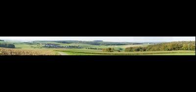 88302-400x189
