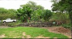 Canoe Garden