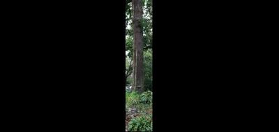 8842-400x189