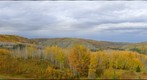 The blaze of autumn, Dunvegan, Alberta