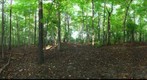 Dairy Bush GigaPan - 109 - September 28 2011