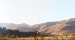Mavuradonha 