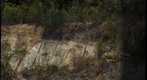 Hwy 81 Roadcut 