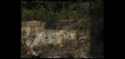 88580-400x189