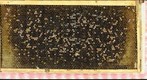 Chalkbrood 45min day 1 gigapan stitch