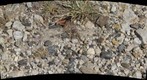 Gravel Road