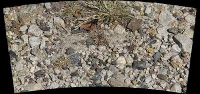 88775-400x189