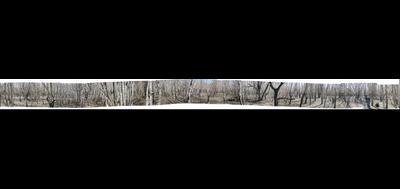 88796-400x189