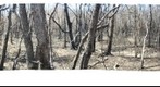 Walking along the Berm 3 in George Bush Park