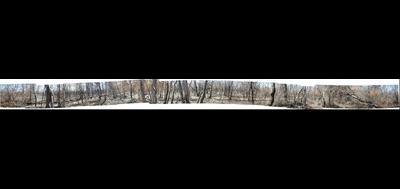 88800-400x189