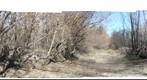360 degree view in small gully in George Bush Park