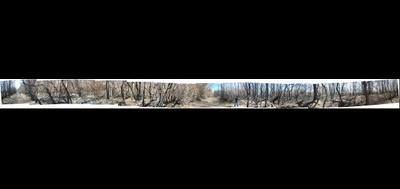 88850-400x189