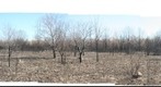 Along the pipeline in George Bush Park