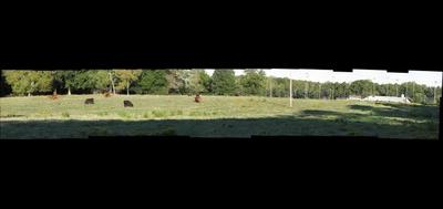 88944-400x189