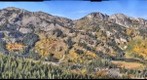 Aspen phenome project panorama