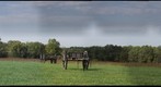 1st Bull Run - west between the visitors centre and Henry House