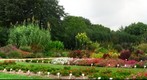 Perennial border and annual test garden
