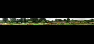 8905-400x189