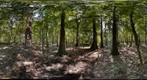 Congaree National Park