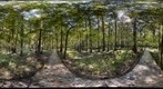 Congaree National Park