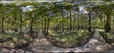 89098-400x189