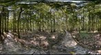 Congaree National Park