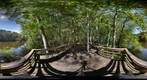 Congaree National Park