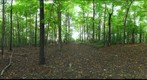 Dairy Bush GigaPan - 110 - October 05 2011