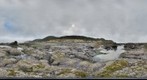 Reasearch in the Rocky Intertidal