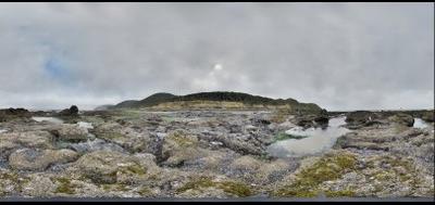 89205-400x189
