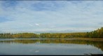 Autumn at Miller's Lake, Edson Alberta