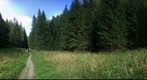 Poľana v Juráňovej doline