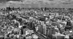 Tokyo【IR】