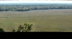 Pea Ridge military park 2