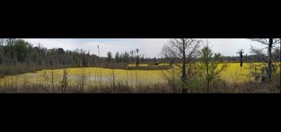 89585-400x189