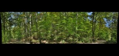 89622-400x189