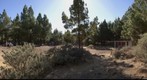 Llanos de la Pez, Tejeda. Isla de Gran Canaria