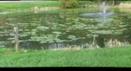Upper Pond B'ville Park