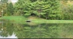 Arrowhead Lower Pond