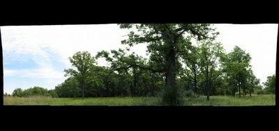 8972-400x189