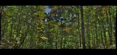 89771-400x189