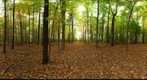 Dairy Bush GigaPan - 111 - October 12 2011