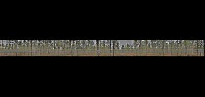 89824-400x189